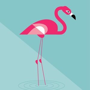 Meet your Posher, Xiaotan